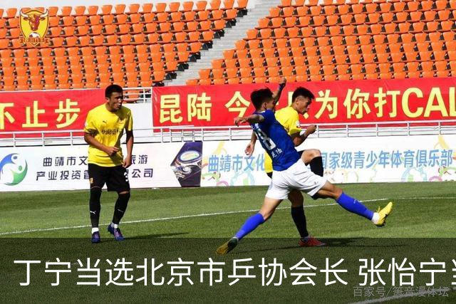 丁宁当选北京市乒协会长 张怡宁当选理事
